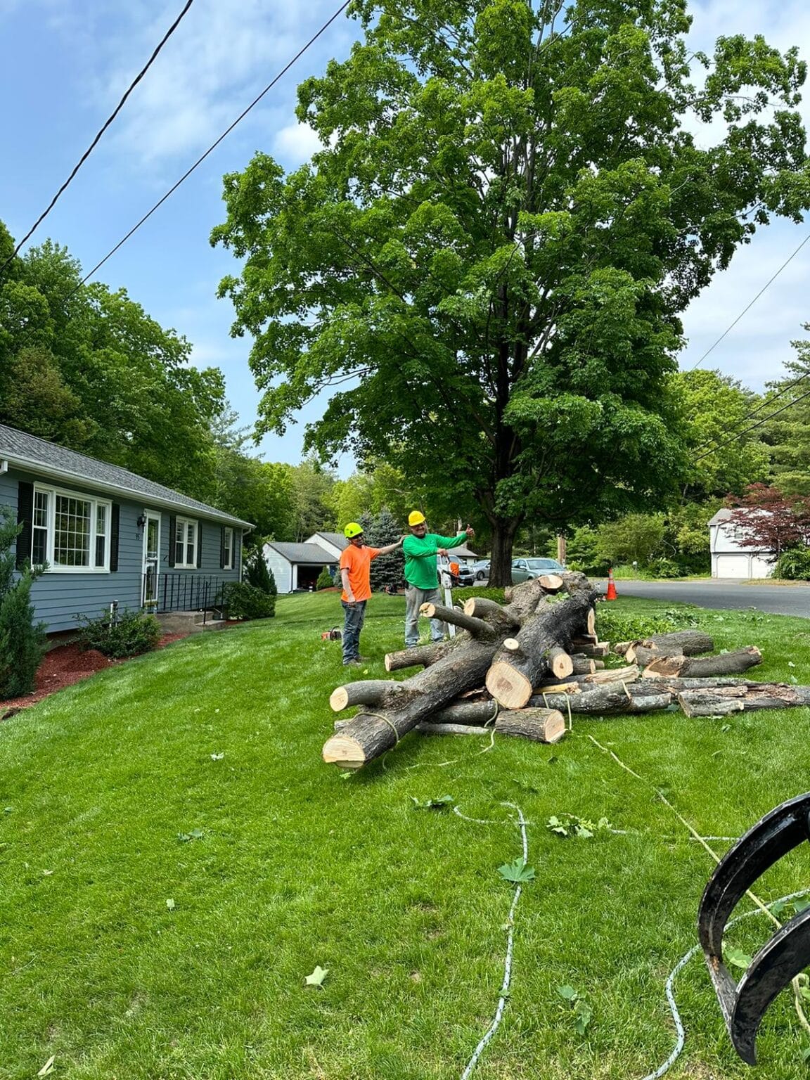 Tree Removal Services by JRC landscaping services in central Connecticut