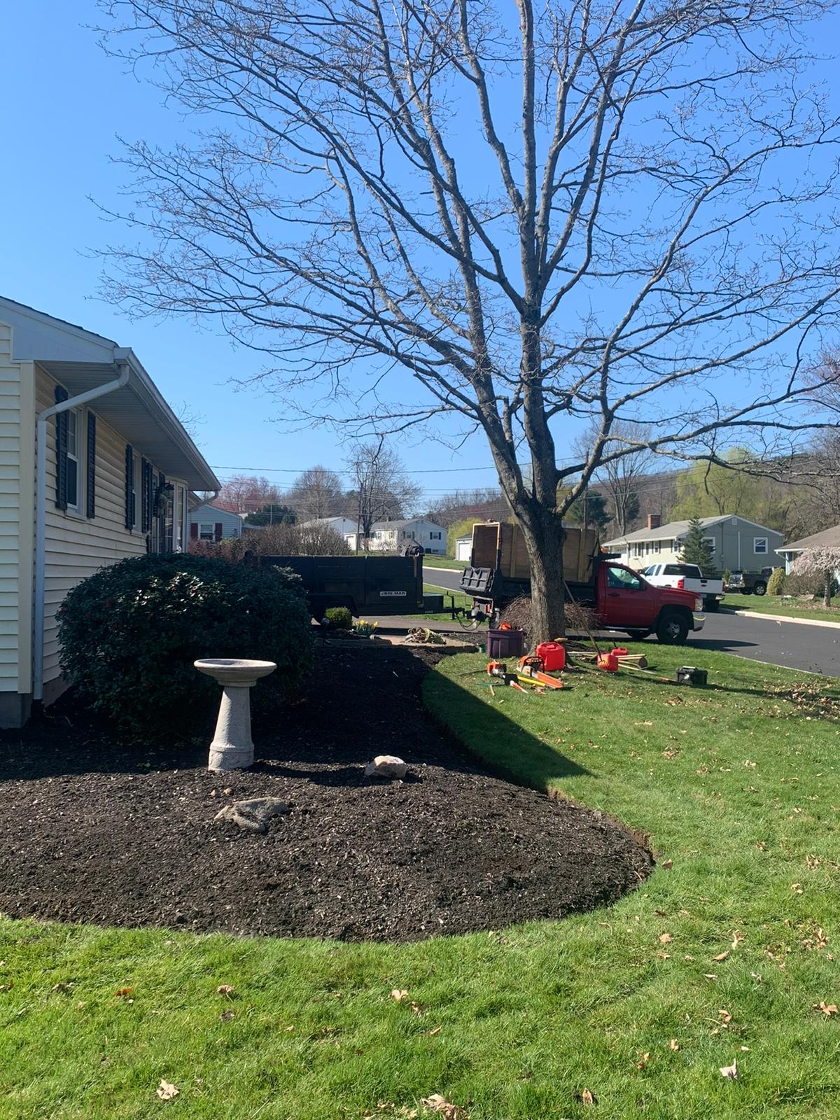 Tree Services by JRC landscaping services in machester CT