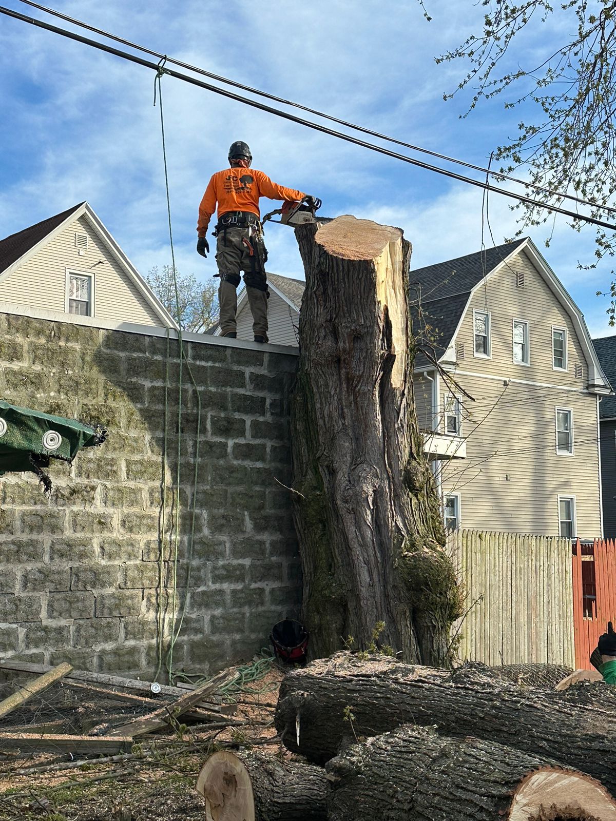 Tree Services by JRC landscaping services in machester CT