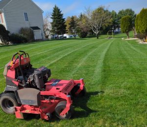 Lawn Care and maintenance Services by JRC landscaping services in central CT Lawn Care and maintenance Services by JRC landscaping services in central CT
