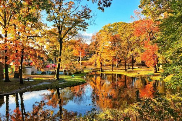 JRC landscaping services in manchester CT Autumn Nature in a Connecticut Park