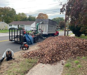 Fall and Spring cleanups Services by JRC landscaping services in Manchester CT Fall and Spring cleanups Services by JRC landscaping services in Manchester CT