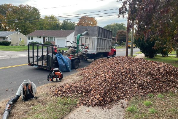 Fall and Spring cleanups Services by JRC landscaping services in Manchester CT Fall and Spring cleanups Services by JRC landscaping services in Manchester CT